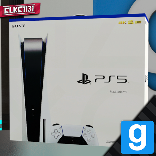 PS5 Console Box