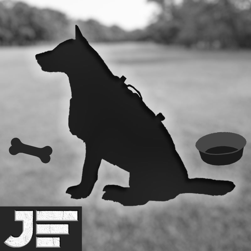 K9 Companion
